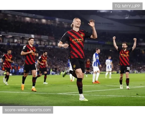 B费与福登：效率差异与角色适配性解析