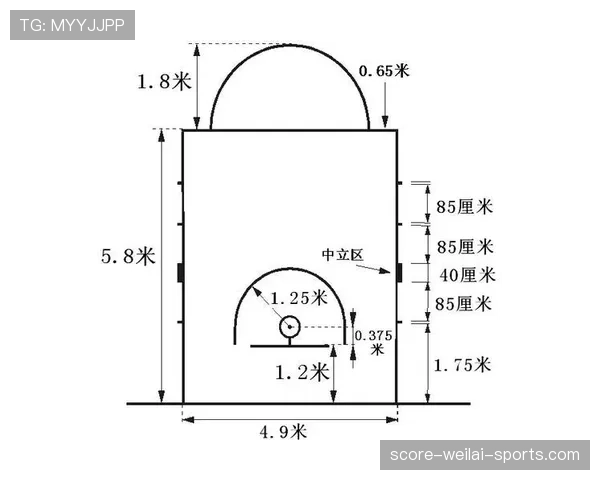 全面解析罚球规则 NBA 与 FIBA 区别及判定标准