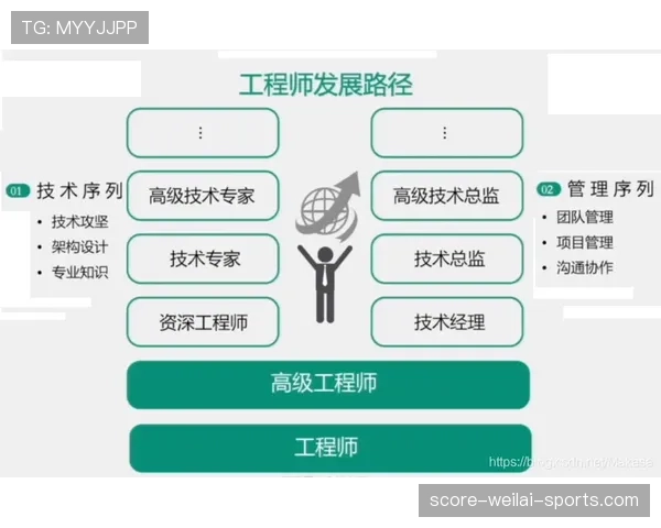 杜埃职业发展路径与定位合理性深度解析